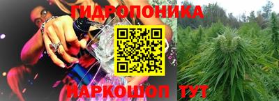 ГАЛЛЮЦИНОГЕННЫЕ ГРИБЫ Коммунар