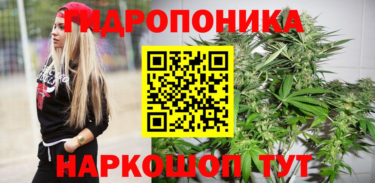 Бошки марихуана OG Kush Ишим